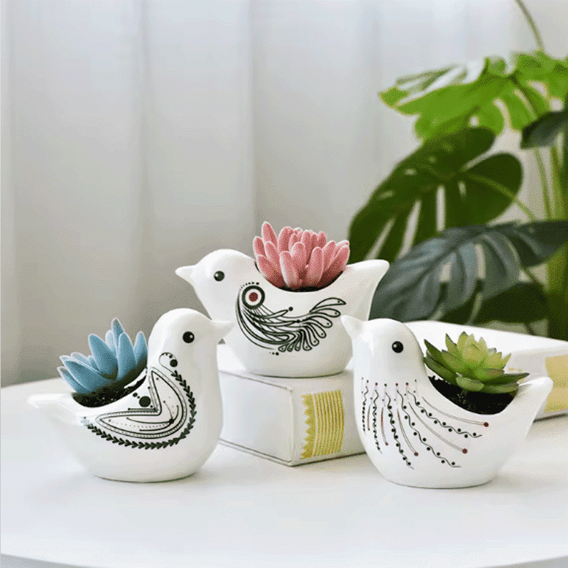 Cute Birds & Glazed Ceramic Desktop Succulent Pots | Set of 3